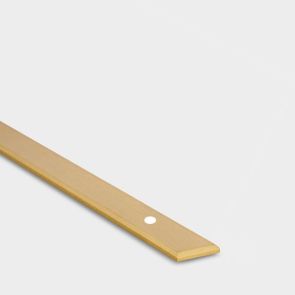 Brass Backplate - Gold - 632mm Hole Centre