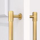 Brass Double Sided Cabinet Handles in Gold