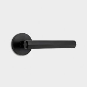 Brass Hexagonal Lever Door Handle in Black 